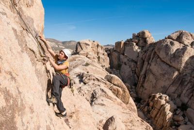 Rock Climbing Trips in Joshua Tree National Park (6 Hours)