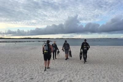 Small Group Guided Shore Dives in St. Andrews State Park, Florida Small Group Guided Shore Dives in St. Andrews State Park, Florida