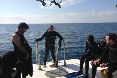Wreck and Bridge Span Dive Charter for Certified Divers Wreck and Bridge Span Dive Charter for Certified Divers