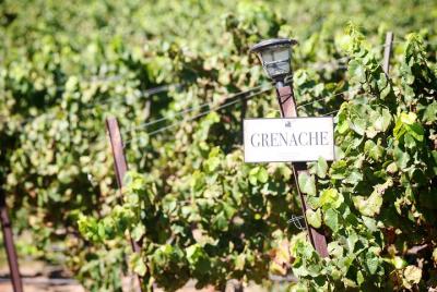 Private Paso Robles Wine Tasting Tour in SUV