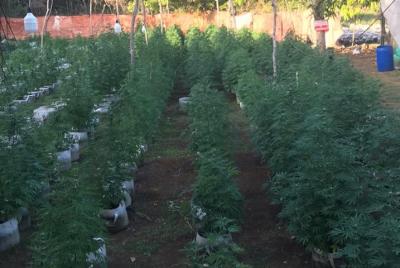 Negril Highlights  Negril Highlights