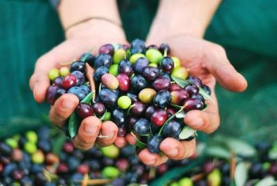 Private Tour: Arizona Foodie Trail Private Tour: Arizona Foodie Trail