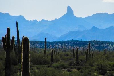 Wilderness Hiking Tours Wilderness Hiking Tours