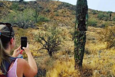 Private Solo Sonoran Desert 1.5 Hour Hiking Adventure  Private Solo Sonoran Desert 1.5 Hour Hiking Adventure