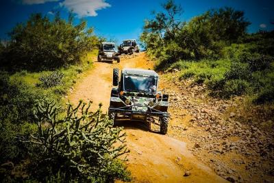 3 Hour Guided TomCar ATV Tour in Sonoran Desert 3 Hour Guided TomCar ATV Tour in Sonoran Desert