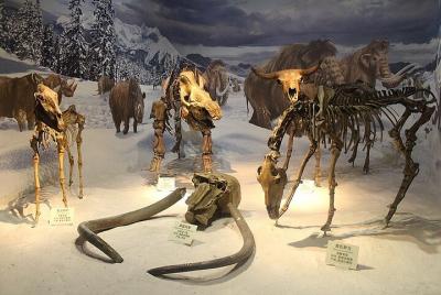 Great Northern PA Ice Age Journey (full day, your group of 1-13)