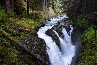 Sol Duc Falls Guided Tour in Olympic National Park Sol Duc Falls Guided Tour in Olympic National Park