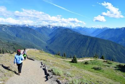 Hurricane Ridge Guided Tour in Olympic National Park Hurricane Ridge Guided Tour in Olympic National Park