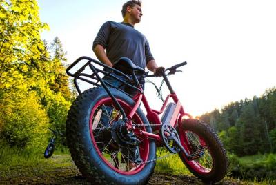 Electric Bike Rentals Electric Bike Rentals