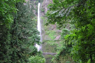 Multnomah Falls & City Combination Tour with Gray Line