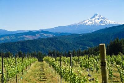 Mt. Hood/Gorge Waterfall Loop from Portland Mt. Hood/Gorge Waterfall Loop from Portland