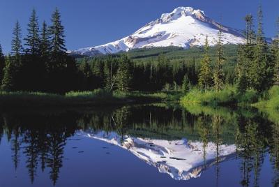 Columbia River Gorge Waterfalls and Mt Hood Tour from Portland