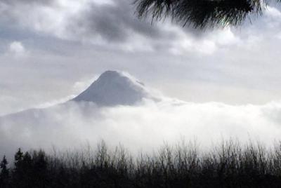 Full-Day Mt Hood Waterfall Tour with Lunch and Wine Tasting Full-Day Mt Hood Waterfall Tour with Lunch and Wine Tasting