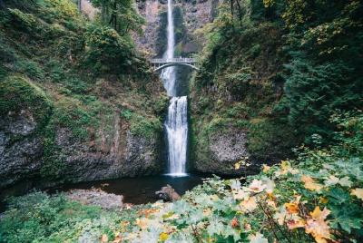 Private Morning Multnomah Falls and Gorge Waterfalls Tour Private Morning Multnomah Falls and Gorge Waterfalls Tour