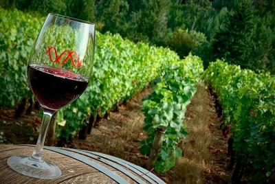 Willamette Valley Wine-Tasting Tour from Portland