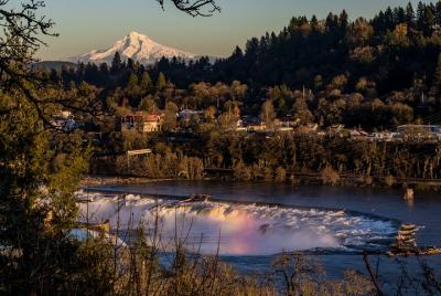 Half-Day Private Portland City Tour 