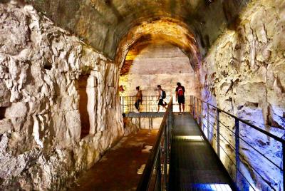 Guided Tour of Colosseum Underground, Arena and Forum  Guided Tour of Colosseum Underground, Arena and Forum