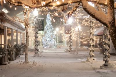 Holiday Lights Night Photography Tour Holiday Lights Night Photography Tour