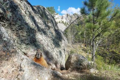 Private Mt Rushmore & Southern Black Hills Tour Private Mt Rushmore & Southern Black Hills Tour