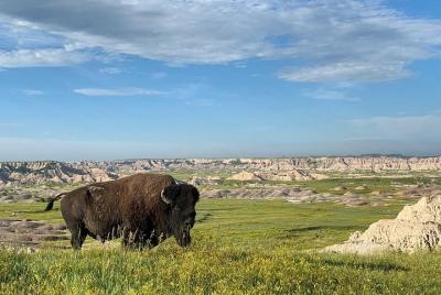 Private Badlands National Park Day Tour  Private Badlands National Park Day Tour