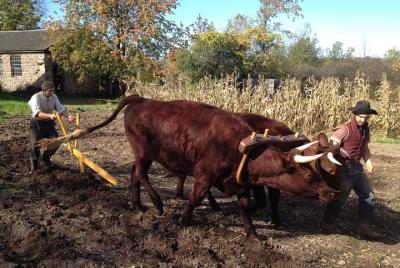 Genesee Country Village and Museum Admission Ticket