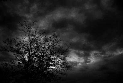 Mysteries & Murders of Salem Guided Night-Time Walking Tour