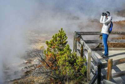 4-Day Yellowstone and Grand Teton Park Winter Tour for Small Pri  4-Day Yellowstone and Grand Teton Park Winter Tour for Small Pri