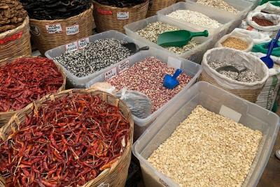 Cross Border Veggan Food Tasting from San Diego 