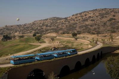 San Diego Zoo and Safari Park 2-Visit Pass Ticket, No Reservations Required!