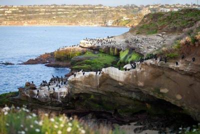 Ultimate Private San Diego Sightseeing Tour Ultimate Private San Diego Sightseeing Tour