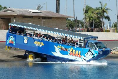 San Diego Shore Excursion: San Diego Seal Tour San Diego Shore Excursion: San Diego Seal Tour