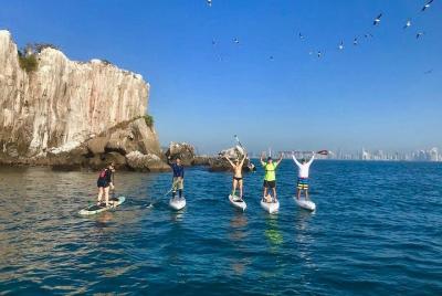 Stand Up Paddle Tour to el Peñon de San Jose