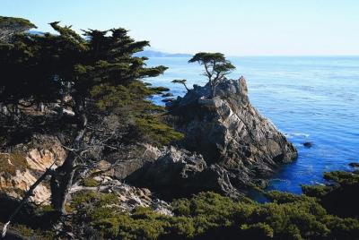 Day Trip to Monterey and Carmel via California Coast Day Trip to Monterey and Carmel via California Coast