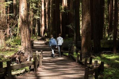 Small Group Redwoods, California Coast & Sausalito Day Trip from San Francisco Small Group Redwoods, California Coast & Sausalito Day Trip from San Francisco