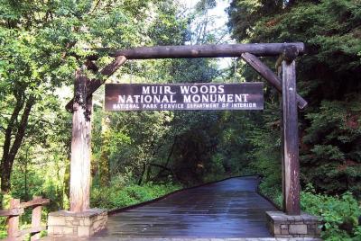 Muir Woods Tour with 1-Hour Golden Gate Bay Cruise from San Francisco Muir Woods Tour with 1-Hour Golden Gate Bay Cruise from San Francisco
