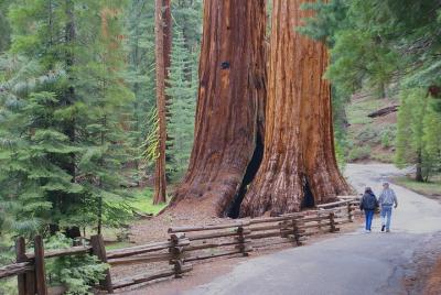 2-Day Yosemite National Park Tour from San Francisco 2-Day Yosemite National Park Tour from San Francisco