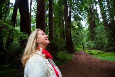 5-Day Northern California National Parks and Yosemite Tour from S 5-Day Northern California National Parks and Yosemite Tour from S