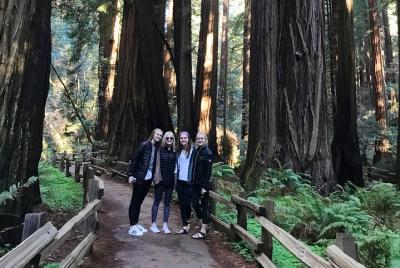 3-Hour Private Muir Giant Redwoods Trees and Sausalito Tour 3-Hour Private Muir Giant Redwoods Trees and Sausalito Tour