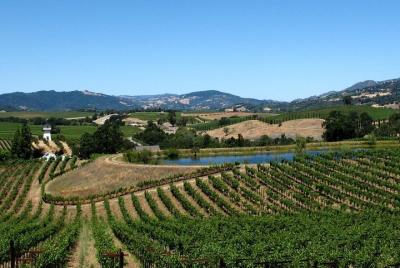 9 Hour Private Sonoma Zipline and Custom Wine Tour From San Francisco 9 Hour Private Sonoma Zipline and Custom Wine Tour From San Francisco