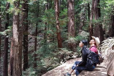 3-1 Muir Woods Visit with Sausalito & Half Day Wine Country (All fees included) 3-1 Muir Woods Visit with Sausalito & Half Day Wine Country (All fees included)