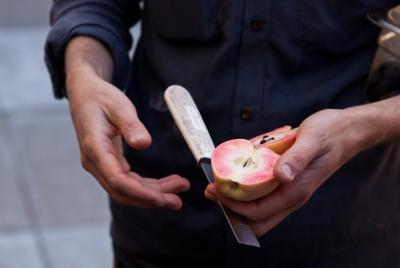 Small-Group Mission District Culinary Experience Small-Group Mission District Culinary Experience