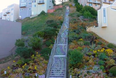 Hidden Stairways of San Francisco