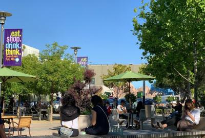 Palo Alto Walking Tour