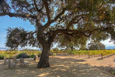 أماكن سياحيه فى سانتا باربارا  أنشطه يمكن أن تقوم بها فى  سانتا باربارا  497951640