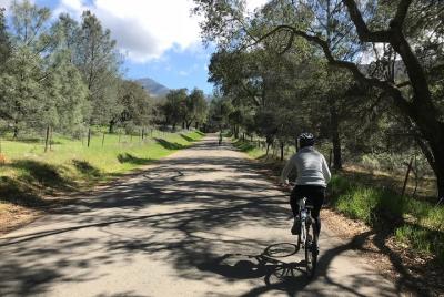 Wine Country Half-Day Bike Tour from Solvang - w/o Lunch