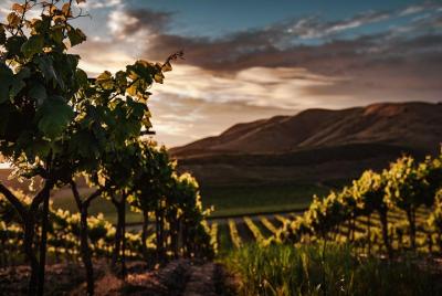 Malibu Wineries Private Tour Malibu Wineries Private Tour