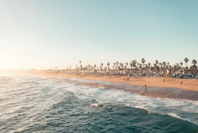 Full Day Guided Tour of Santa Monica and Venice Beach with Surf Lesson Full Day Guided Tour of Santa Monica and Venice Beach with Surf Lesson