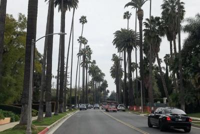 Private Hollywood and Beverly Hills Tour Departing from Santa Mon Private Hollywood and Beverly Hills Tour Departing from Santa Mon