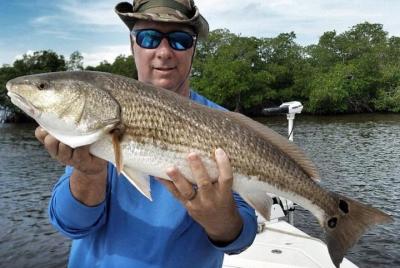 Sarasota Inshore Fishing Charters Sarasota Inshore Fishing Charters