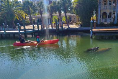 Siesta Key Kayak Tour  Siesta Key Kayak Tour